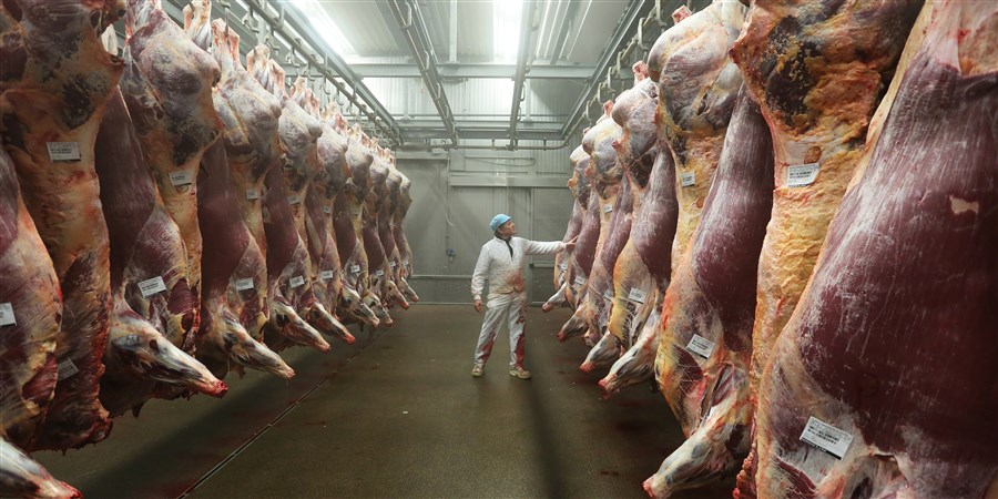 butchered veal in cold storage