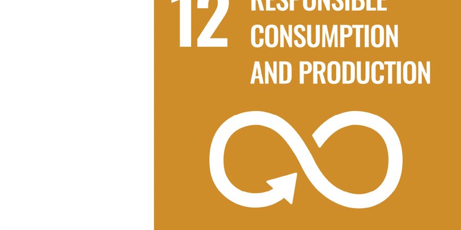 Sdg 12 Responsible Consumption And Production 5497