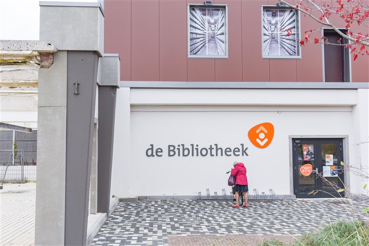 Persoon voor een bibliotheek