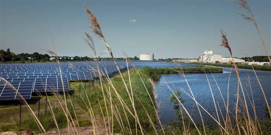 Zonneweide aan het water.