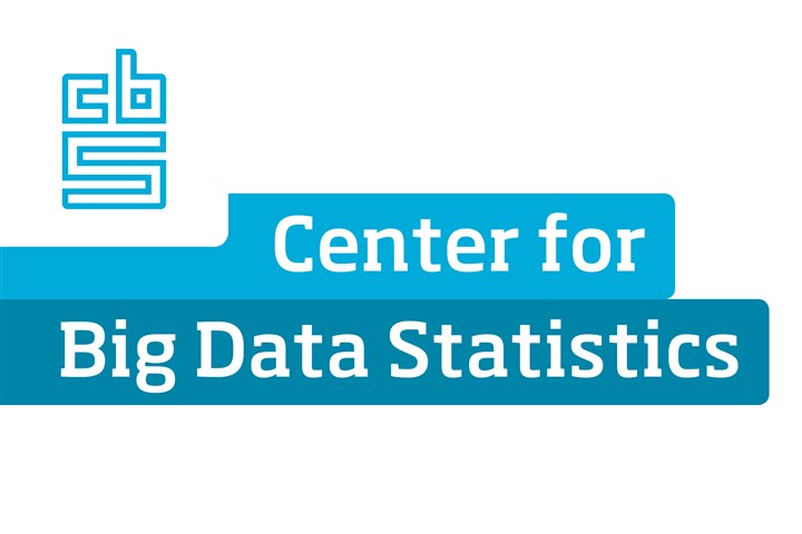 beeldmerk Center for Big Data Statistics