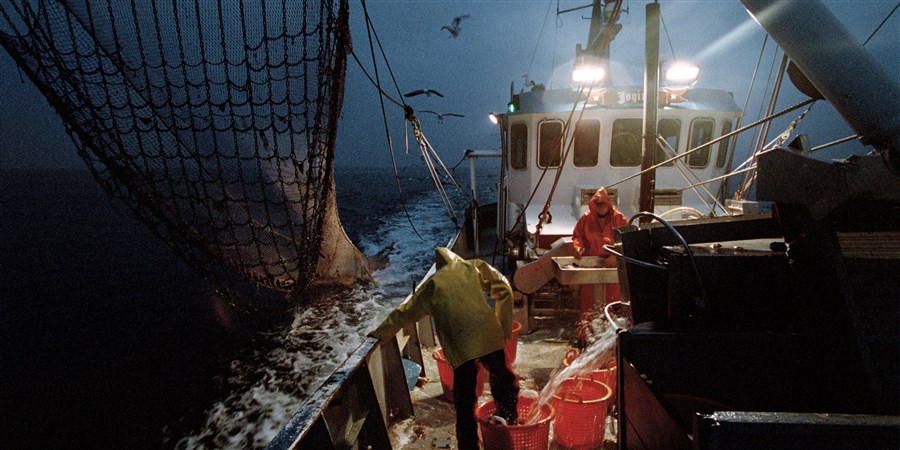 Fishing cutter hauling in trawl nets.