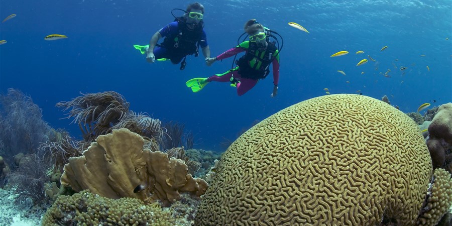 Koraalrif op Bonaire