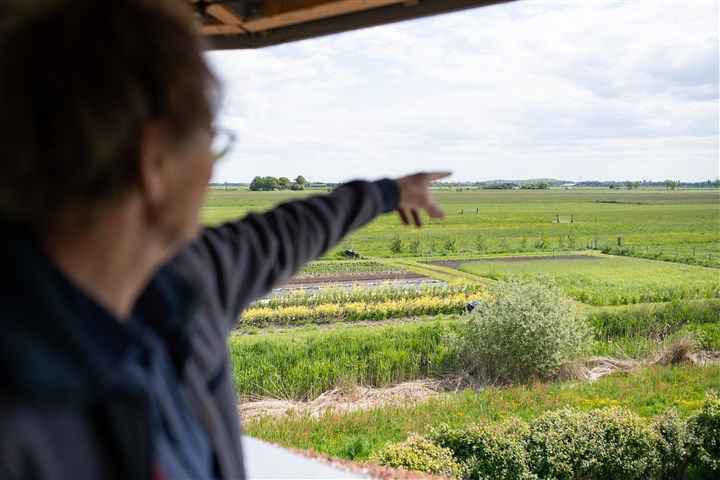 Boer kijkt uit over biologisch land