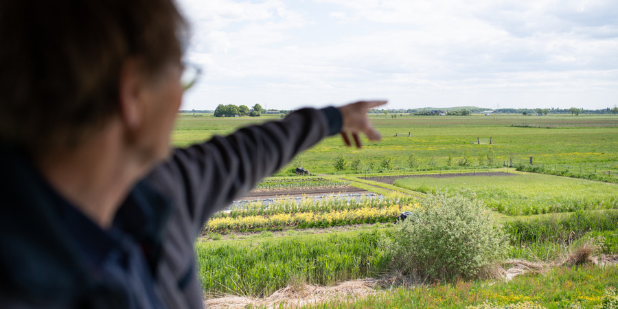 Farmer and farmland