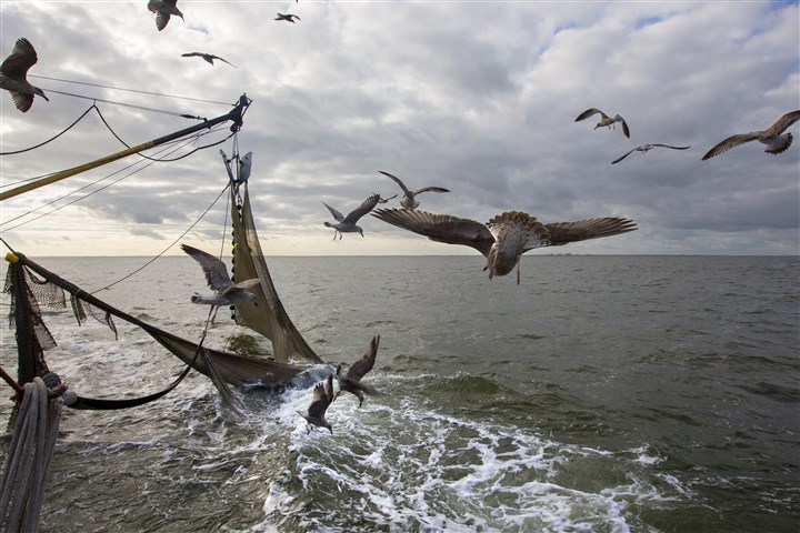 Visvangst op de Noordzee