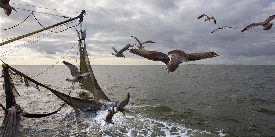 Shrimp fishing boat