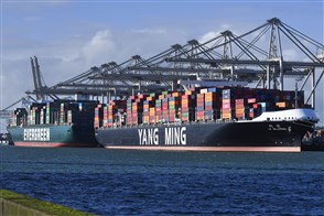 Containerschepen in de haven voor een rij containerkranen