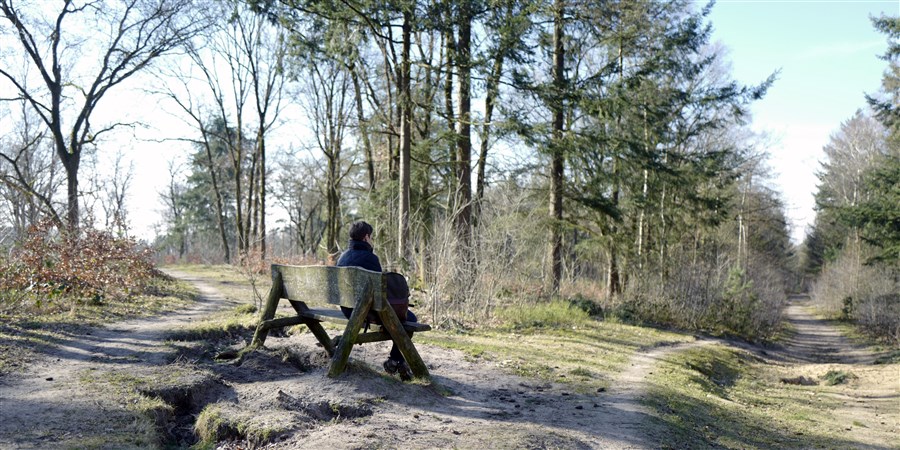 Vrouw zit alleen op een bankje in een natuurgebied