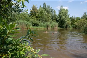 Kinderen spelen en zwemmen in natuurwater