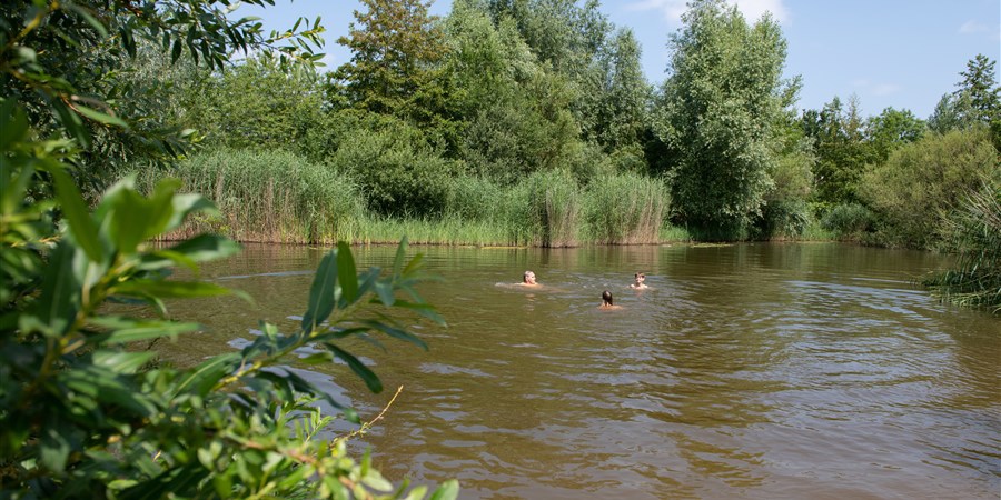 Three people swimming in a lake