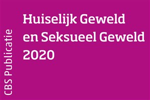 Omslag Huiselijk Geweld en Seksueel Geweld 2020