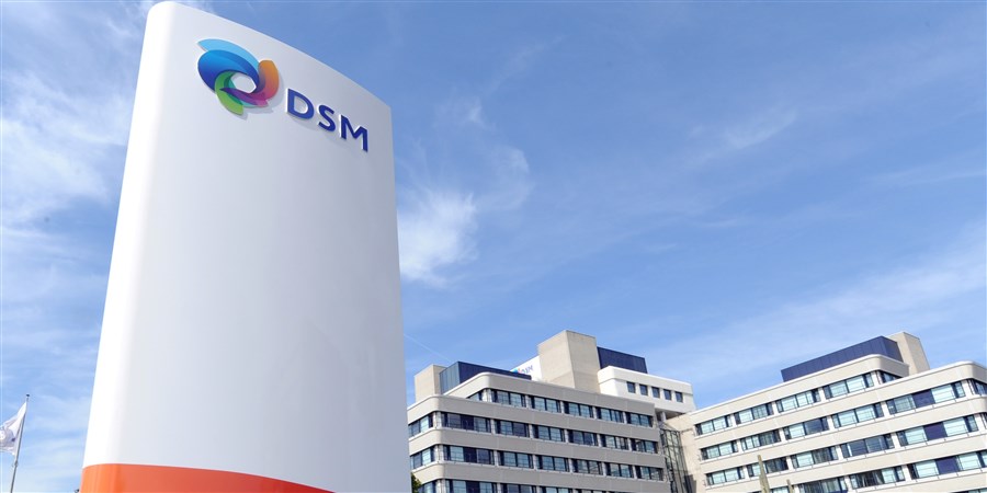 Chemische fabriek van DSM