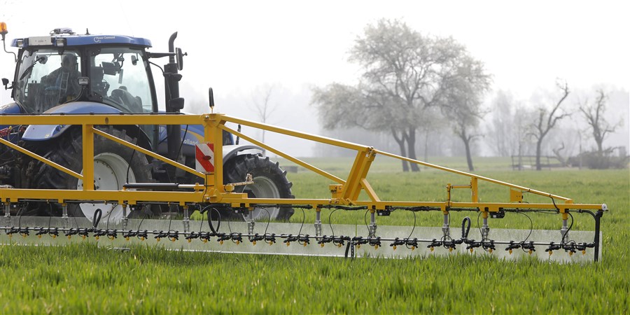 A farmer spraying pesticides on his pear trees.