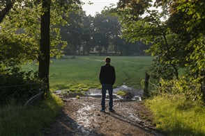 Man op de rug gezien staat tussen de bomen en kijkt uit over de weilanden.