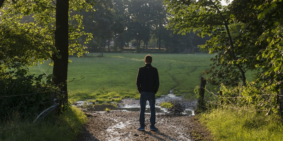 Man op de rug gezien staat tussen de bomen en kijkt uit over de weilanden.