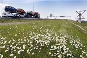Lorries with cars driving across the A16. In the foreground daisies on the verge.