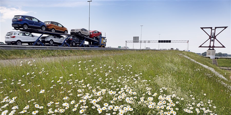 Vrachtwagen met auto's rijdt over de A16. Op de voorgrond margrieten in de berm.