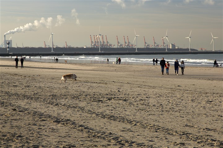 Strand met wandelaars en op de achtergrond windmolens en haveninstallaties