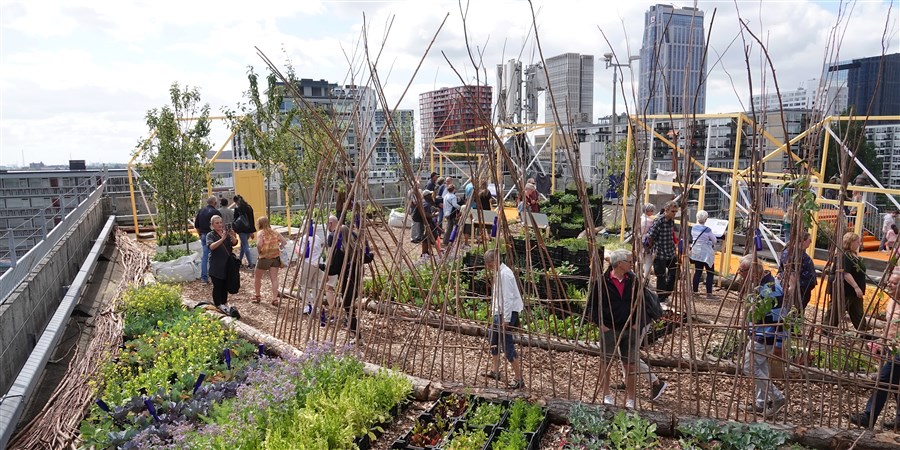 Rotterdamse Dakendagen organiseert naast het gelijknamige festival de Rotterdam Rooftop Walk, een route op dakniveau in het centrum. Op het dak van de Bijenkorf is een daktuin gerealiseerd, waar o.a. groenten worden gekweekt.