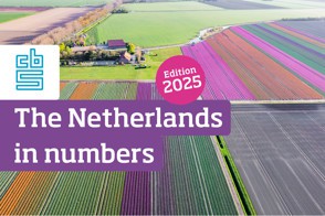 Front cover of the web publication The Netherlands in Numbers 2025 featuring a colourful field of flower bulbs