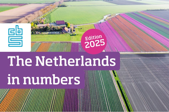 Front cover of the web publication The Netherlands in Numbers 2025 featuring a colourful field of flower bulbs