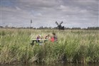 Gezin picknickt in veld met hoge grassen tegen achtergrond van molen