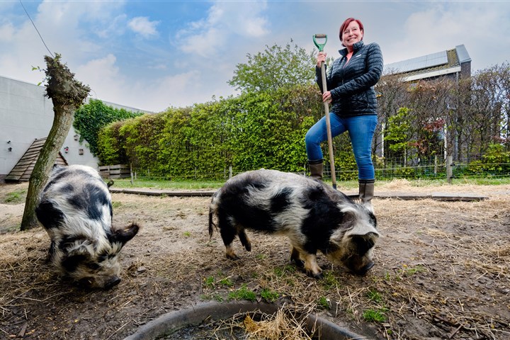 Arbeidsmarktcampagne met CBS-medewerker Ellen van Berkel met haar varkens.