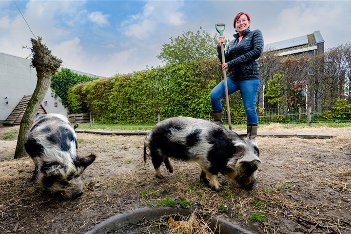 Arbeidsmarktcampagne met CBS-medewerker Ellen met haar varkens.