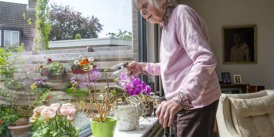 Oudere geeft planten in vensterbank water