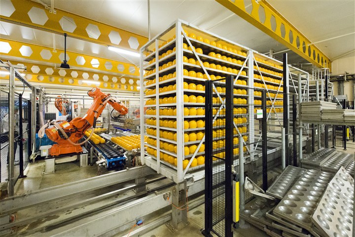 Het kaasproductiebedrijf van FrieslandCampina in het Groningse Marum