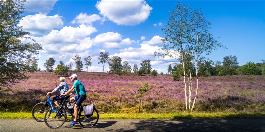 Cyclists passing heathland