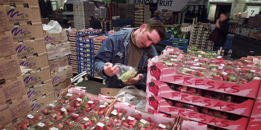 man bekijkt druiven in groentehandel