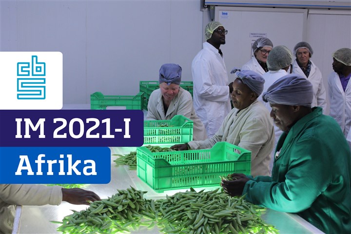Voorpagina Internationaliseringsmonitor 2021 1e kwartaal - Afrika