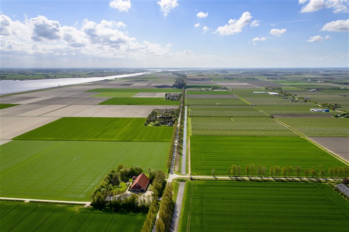 Luchtfoto van boerderijen in Flevoland