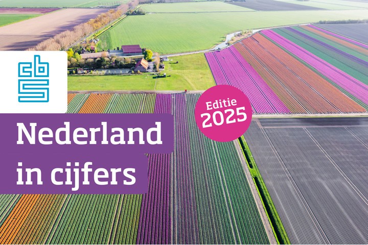 Voorkant van de webpublicatie Nederland in Cijfers 2025 met een bloembollenveld met vele kleuren