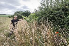  De Heerlense vestiging van CBS, met op de voorgrond een bord met het CBS-logo en de tekst "Centraal Bureau voor de Statistiek".