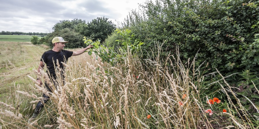 Melkveehouder Stefan Lemlijn bekijkt het groen in het voedselbos dat hij en zijn vrouw aan het creëren zijn.