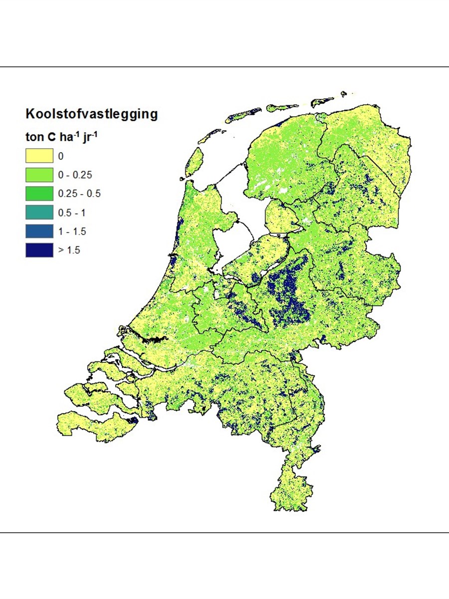 Ruimtelijk patroon van vastlegging van koolstof in de Nederlandse bodem (2013).