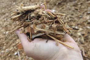 wood chips, a biomass source