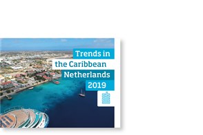 Cover Trends in the Caribbean Netherlands