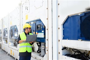Technicus controleert koelcontainers in de haven