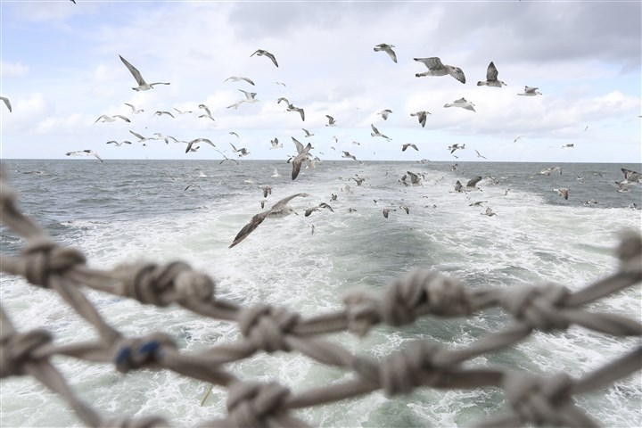 The North Sea