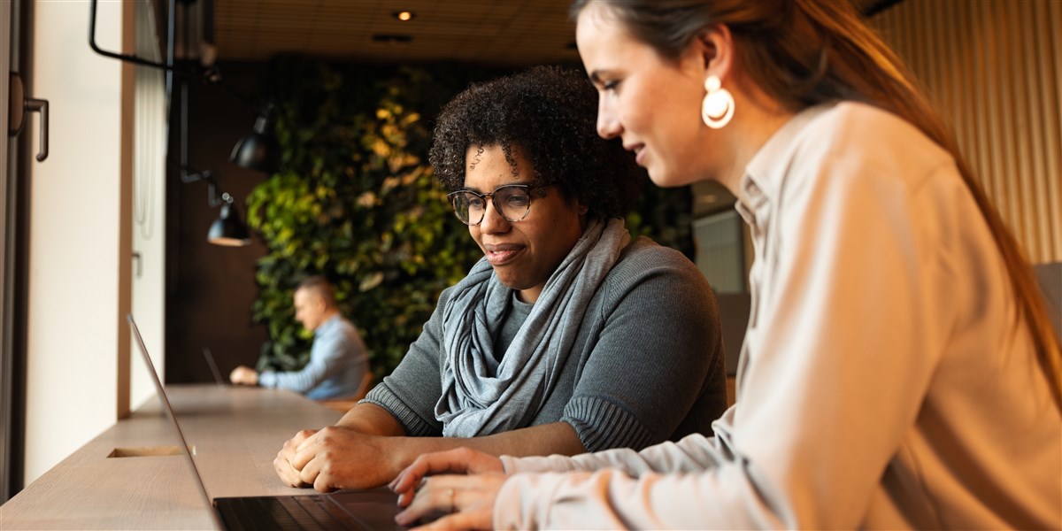 Vertalen van Nederlands naar Engels CBS