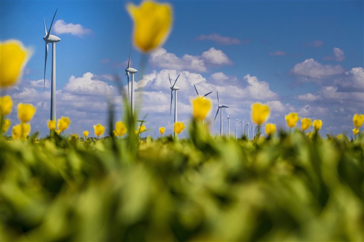 Wind turbines in Flevoland