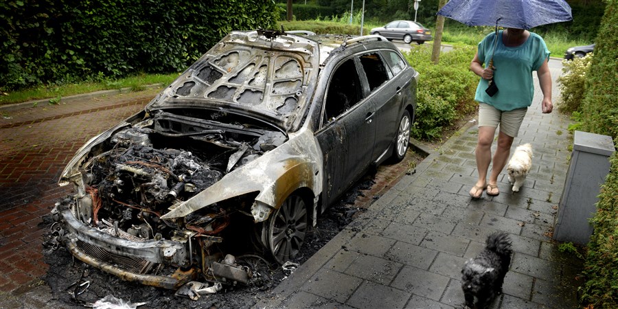 Vrouw loopt met honden langs afgebrande auto