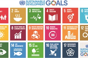 Infographic sustainable development goals VN