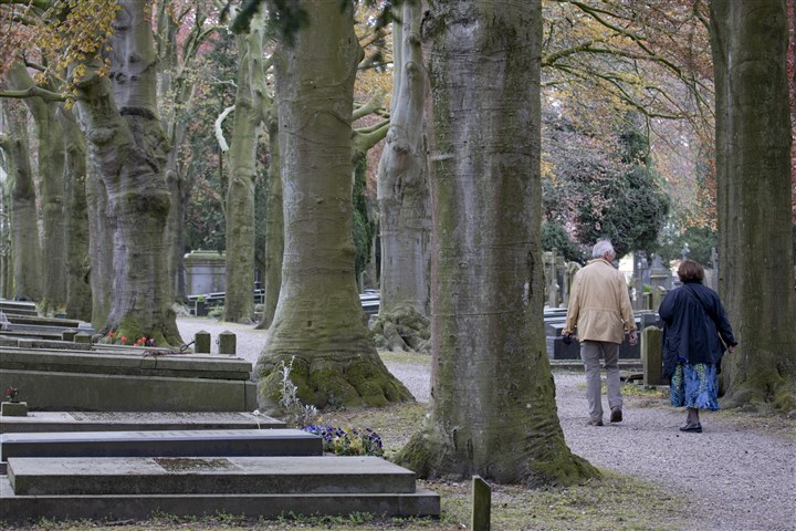 Daalseweg cemetery, Nijmegen