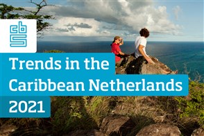 Cover Placehoulder Trends in the Caribbean Netherlands 2021