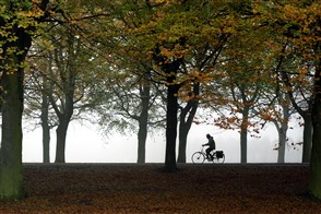 fietser rijdt in de herfst langs een mistig malieveld.